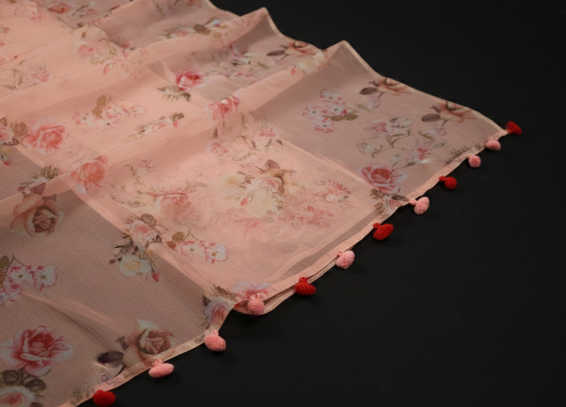 ORGANZA SAREE