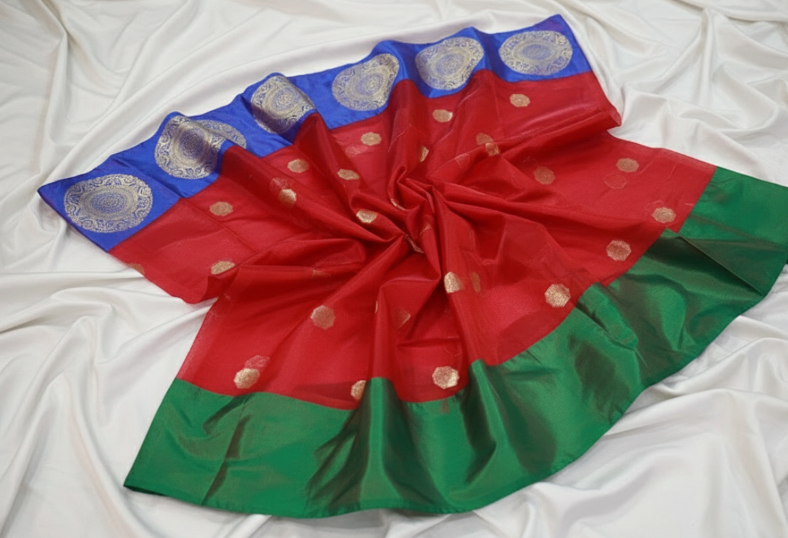 ORGANZA SAREE