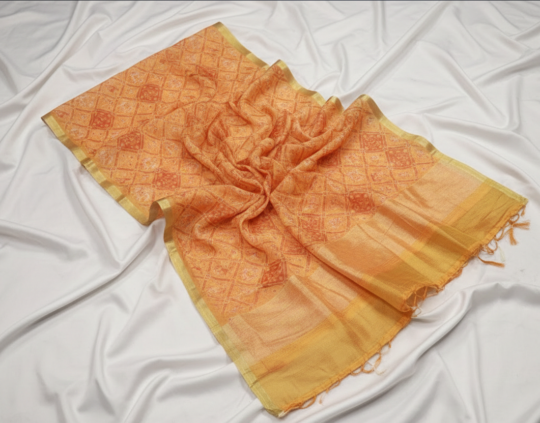 ORGANZA SAREE